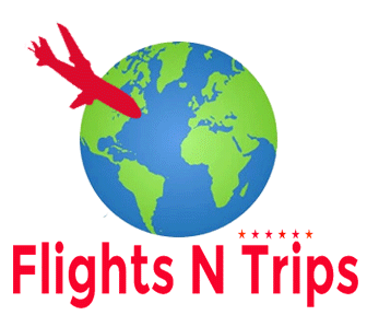 Flights N Trips Pvt Ltd logo
